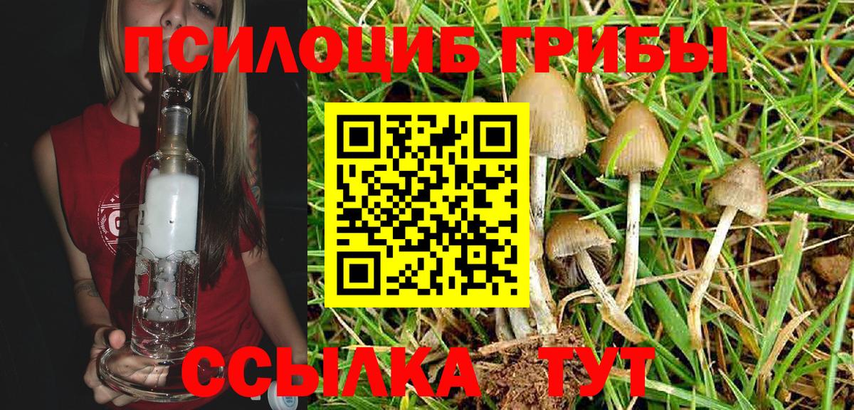 Зеленодольск  Галлюциногенные грибы MAGIC MUSHROOMS  Вход с VPN 
